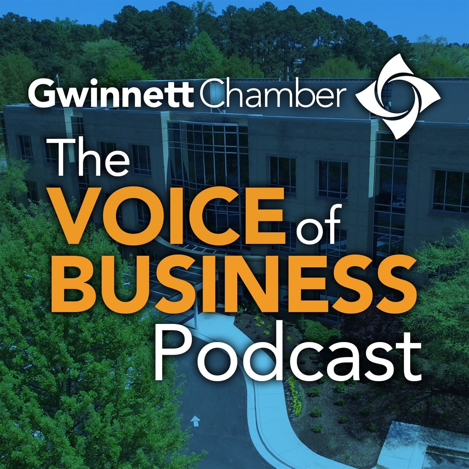 The Voice of Business Podcast